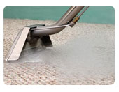 steam carpet cleaners
